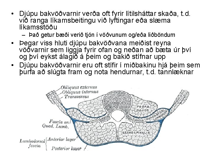  • Djúpu bakvöðvarnir verða oft fyrir lítilsháttar skaða, t. d. við ranga líkamsbeitingu