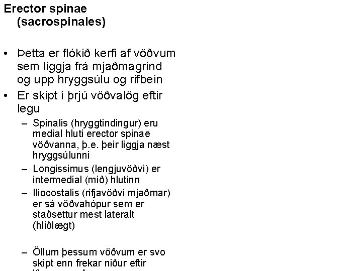Erector spinae (sacrospinales) • Þetta er flókið kerfi af vöðvum sem liggja frá mjaðmagrind