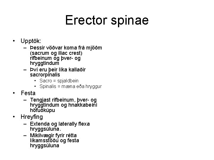 Erector spinae • Upptök: – Þessir vöðvar koma frá mjöðm (sacrum og iliac crest)