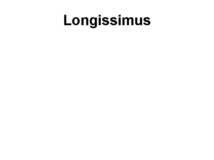 Longissimus 