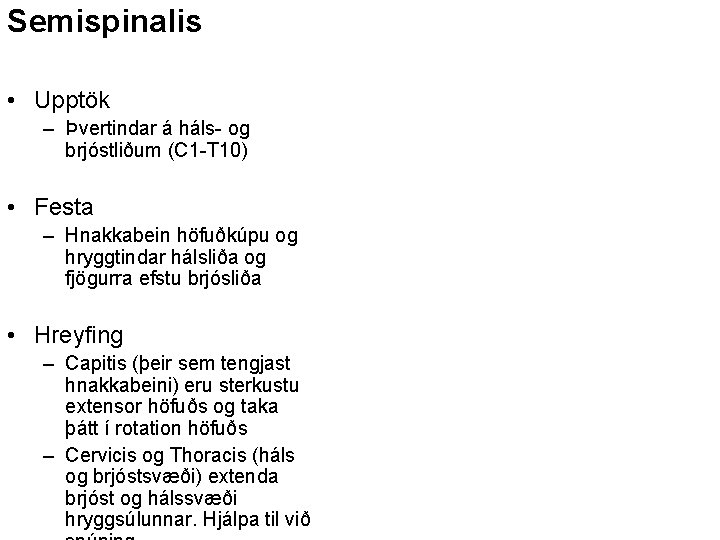 Semispinalis • Upptök – Þvertindar á háls- og brjóstliðum (C 1 -T 10) •