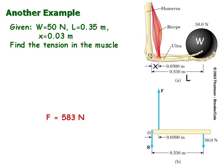 Another Example Given: W=50 N, L=0. 35 m, x=0. 03 m Find the tension