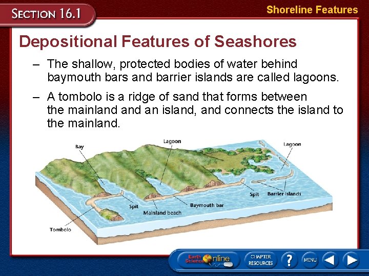 Shoreline Features Depositional Features of Seashores – The shallow, protected bodies of water behind