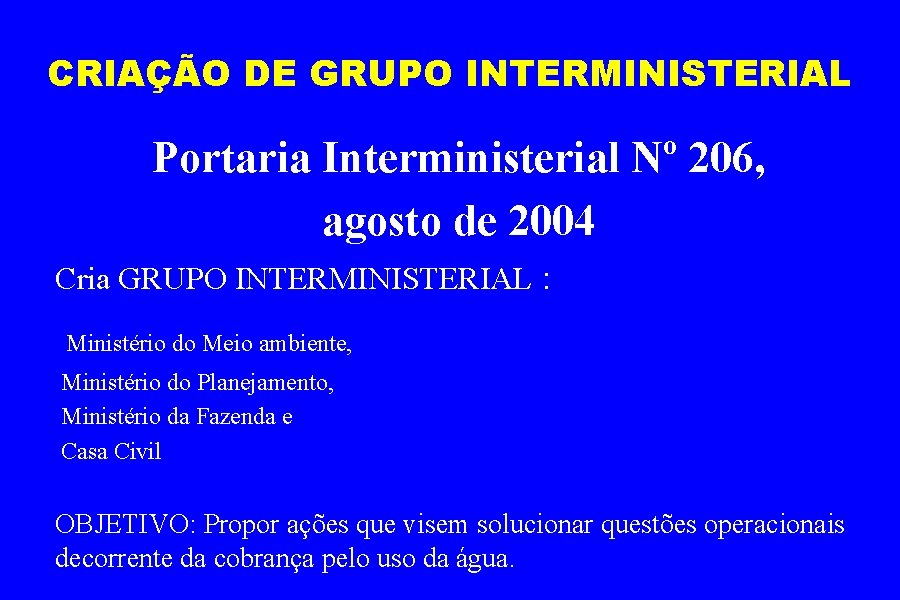 CRIAÇÃO DE GRUPO INTERMINISTERIAL Portaria Interministerial Nº 206, agosto de 2004 Cria GRUPO INTERMINISTERIAL