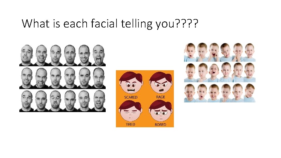 What is each facial telling you? ? 