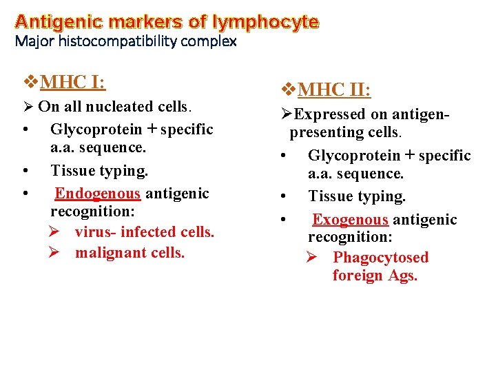 Antigenic markers of lymphocyte Major histocompatibility complex v. MHC I: Ø On all nucleated