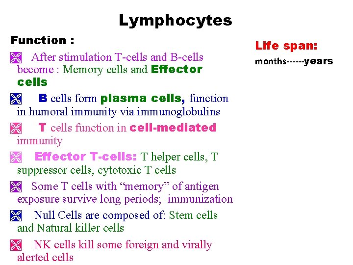 Lymphocytes Function : Ì After stimulation T-cells and B-cells become : Memory cells and