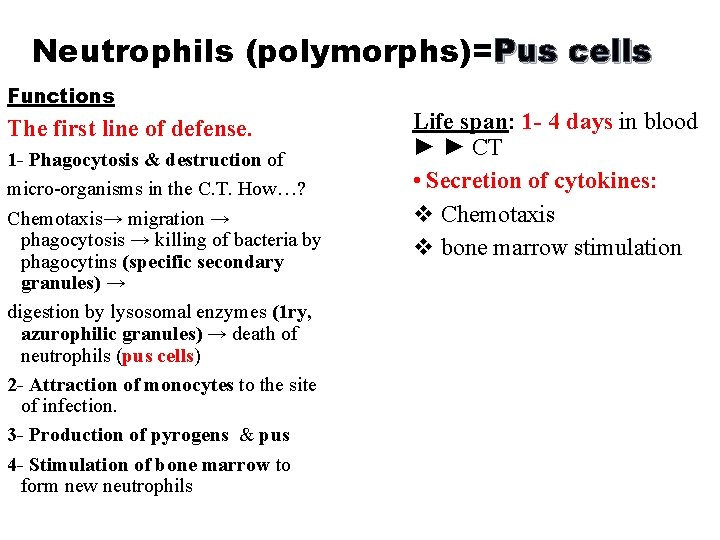 Neutrophils (polymorphs)=Pus cells Functions The first line of defense. 1 - Phagocytosis & destruction