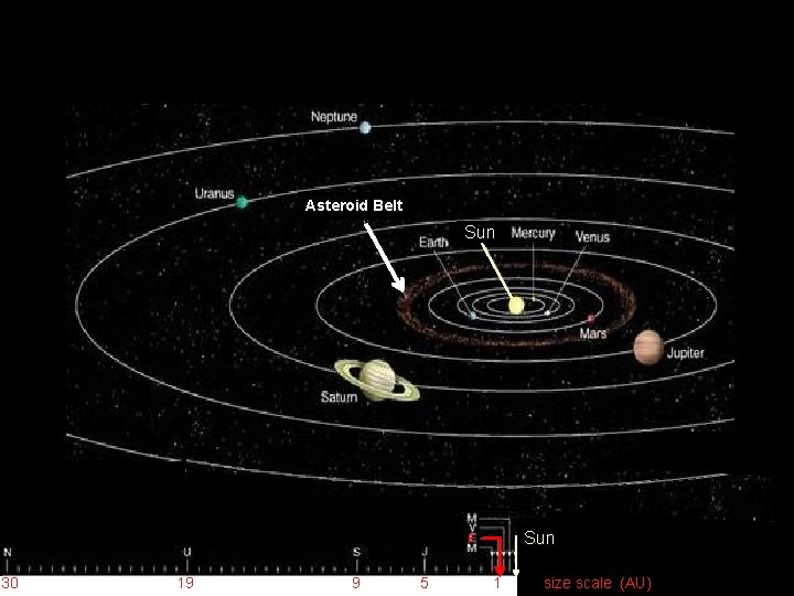 Asteroid Belt Sun E 30 19 9 5 1 size scale (AU) 