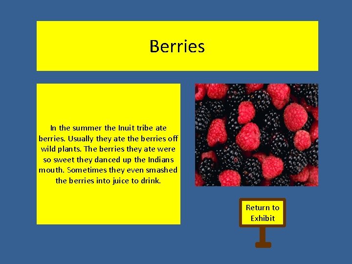 Berries In the summer the Inuit tribe ate berries. Usually they ate the berries