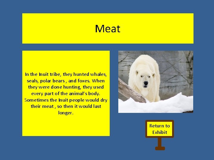 Meat In the Inuit tribe, they hunted whales, seals, polar bears , and foxes.