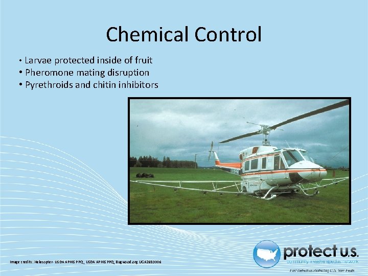 Chemical Control • Larvae protected inside of fruit • Pheromone mating disruption • Pyrethroids