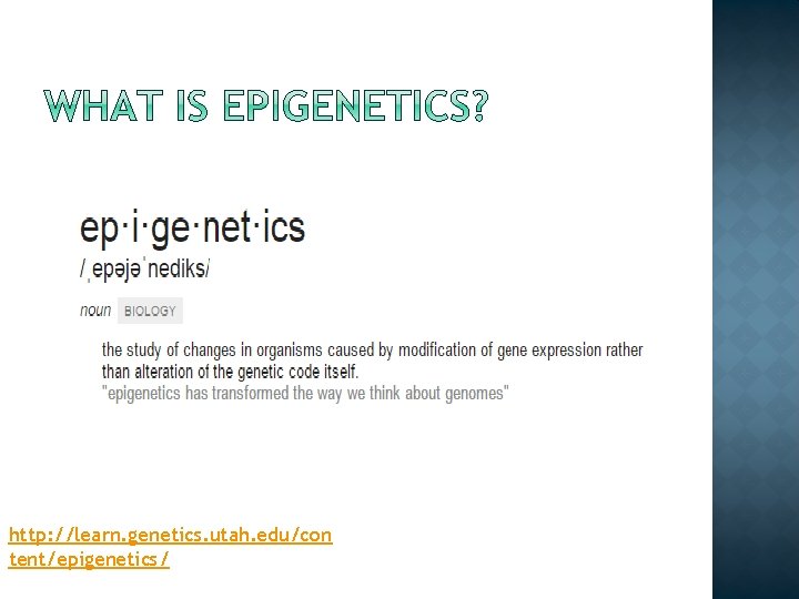 http: //learn. genetics. utah. edu/con tent/epigenetics/ 