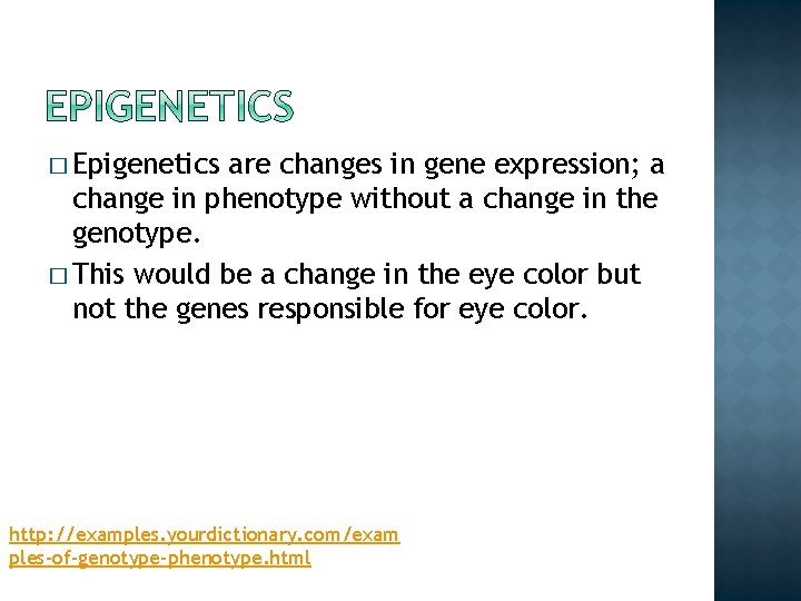 � Epigenetics are changes in gene expression; a change in phenotype without a change