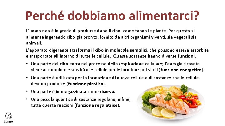 Perché dobbiamo alimentarci? L’uomo non è in grado di produrre da sé il cibo,