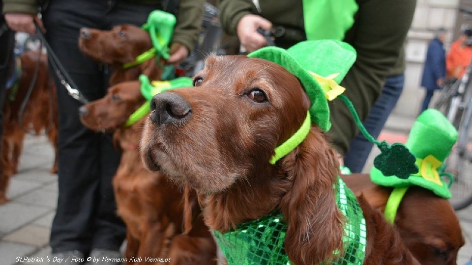St. Patrick‘s Day / Foto © by Hermann Kolb Vienna. at 