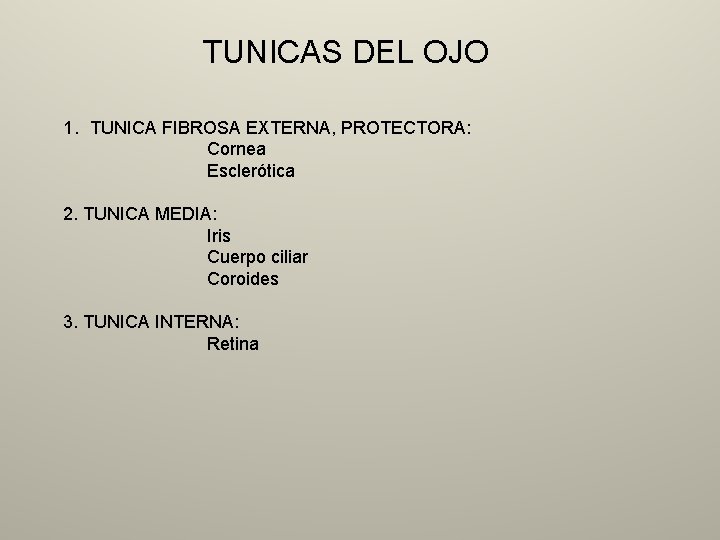 TUNICAS DEL OJO 1. TUNICA FIBROSA EXTERNA, PROTECTORA: Cornea Esclerótica 2. TUNICA MEDIA: Iris