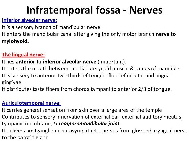 Infratemporal fossa - Nerves Inferior alveolar nerve: It is a sensory branch of mandibular