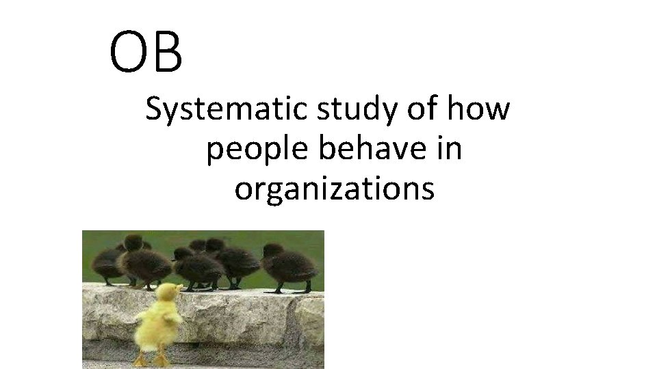 OB Systematic study of how people behave in organizations 