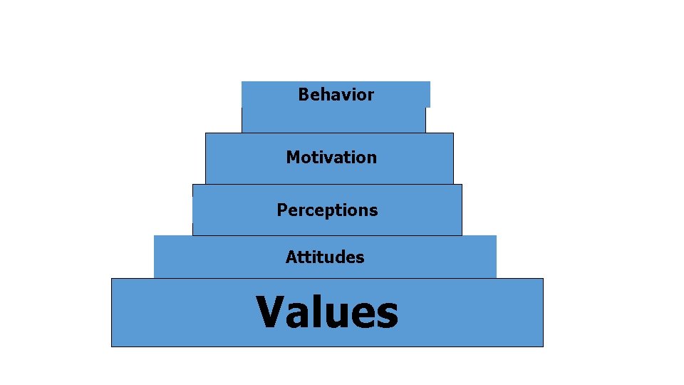 Behavior Motivation Perceptions Attitudes Values 