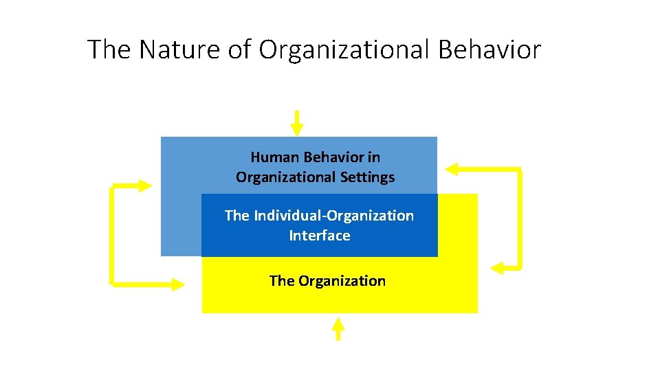 The Nature of Organizational Behavior Environment Human Behavior in Organizational Settings The Individual-Organization Interface