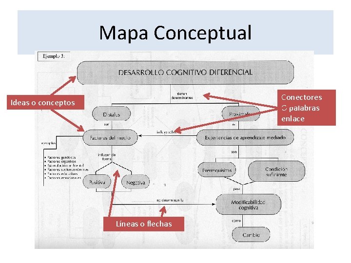 Mapa Conceptual Conectores O palabras enlace Ideas o conceptos Líneas o flechas 