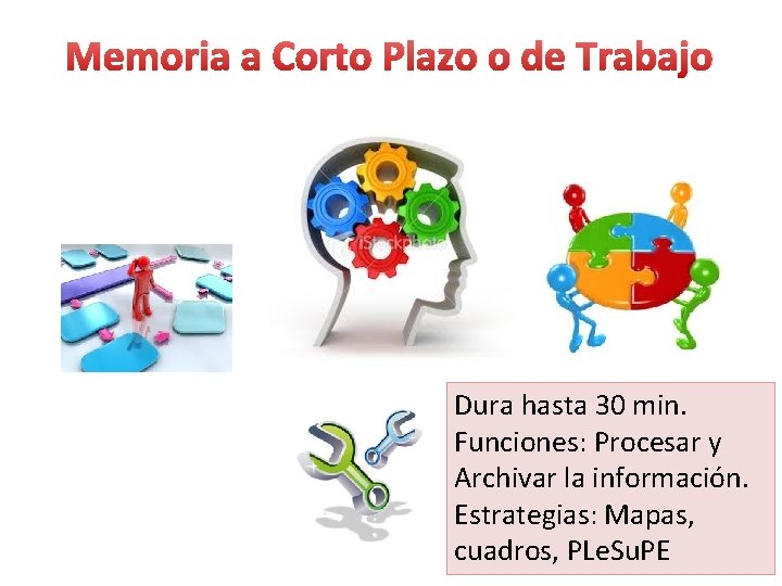 Memoria a Corto Plazo o de Trabajo Dura hasta 30 min. Funciones: Procesar y