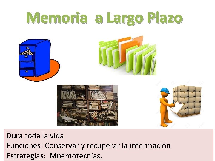 Memoria a Largo Plazo Dura toda la vida Funciones: Conservar y recuperar la información