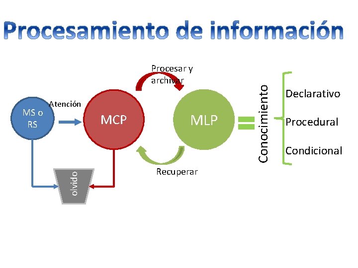 MCP olvido MS o RS Atención MLP Recuperar Conocimiento Procesar y archivar Declarativo Procedural