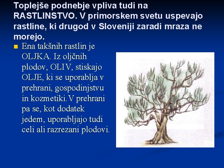Toplejše podnebje vpliva tudi na RASTLINSTVO. V primorskem svetu uspevajo rastline, ki drugod v