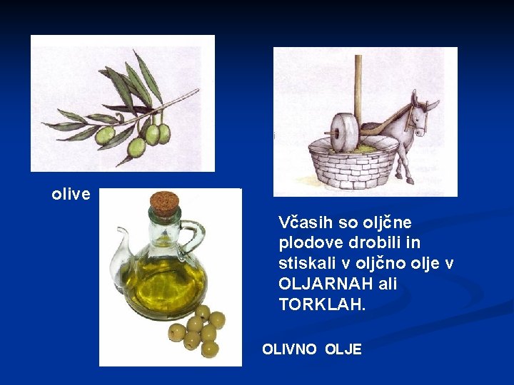 olive Včasih so oljčne plodove drobili in stiskali v oljčno olje v OLJARNAH ali