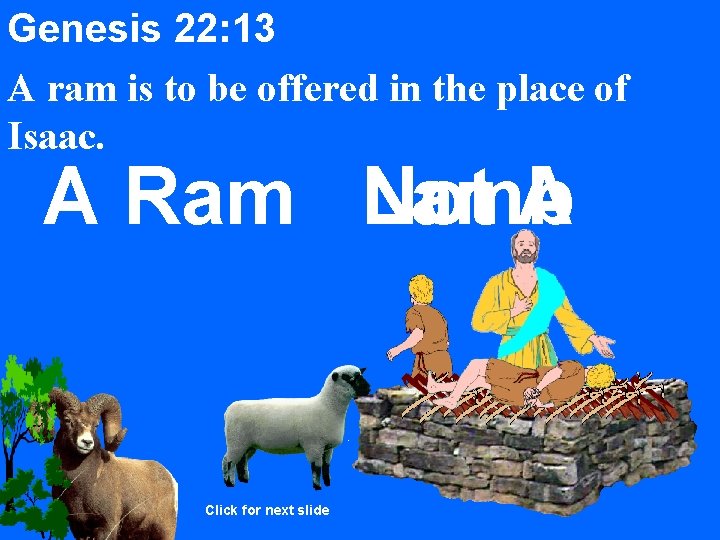 Genesis 22: 13 A ram is to be offered in the place of Isaac.