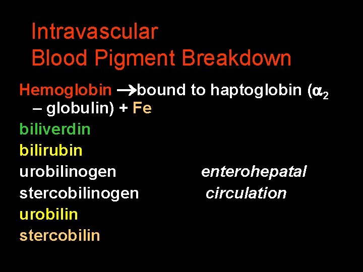 Intravascular Blood Pigment Breakdown Hemoglobin bound to haptoglobin ( 2 – globulin) + Fe