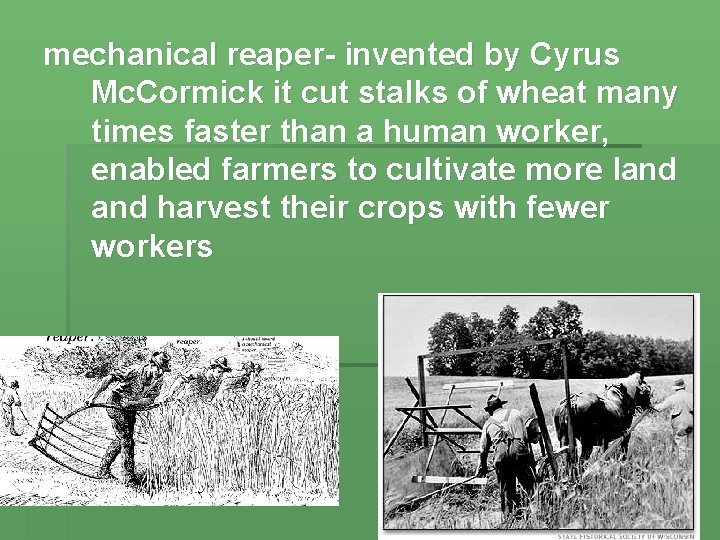 North and South Take Different Paths urbanization the