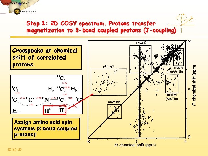 Step 1: 2 D COSY spectrum. Protons transfer magnetization to 3 -bond coupled protons