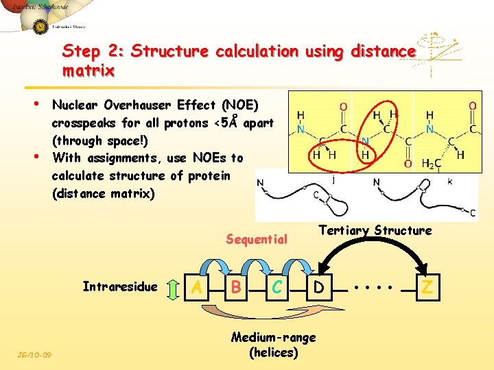 Step 2: Structure calculation using distance matrix • • Nuclear Overhauser Effect (NOE) crosspeaks