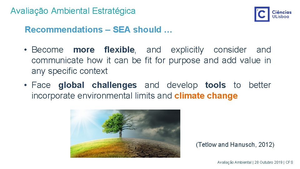 Avaliação Ambiental Estratégica Recommendations – SEA should … • Become more flexible, and explicitly