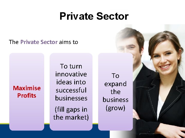 Private Sector The Private Sector aims to Maximise Profits To turn innovative ideas into