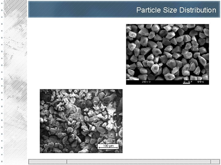 Particle Size Distribution 