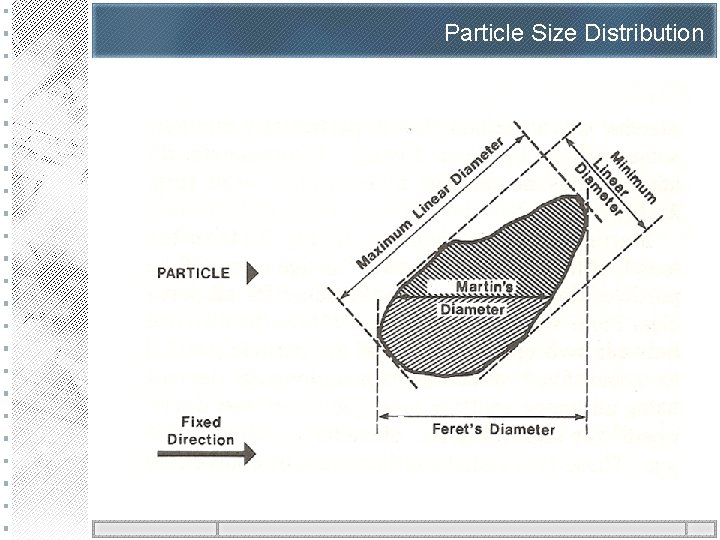 Particle Size Distribution 