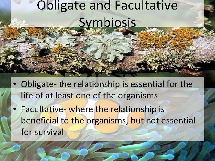 Obligate and Facultative Symbiosis • Obligate- the relationship is essential for the life of