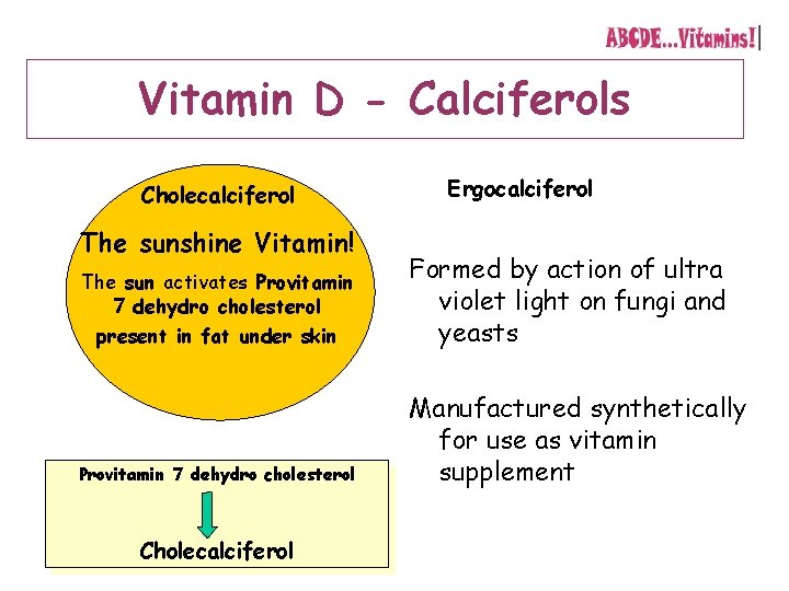 Vitamin D - Calciferols Cholecalciferol The sunshine Vitamin! The sun activates Provitamin 7 dehydro