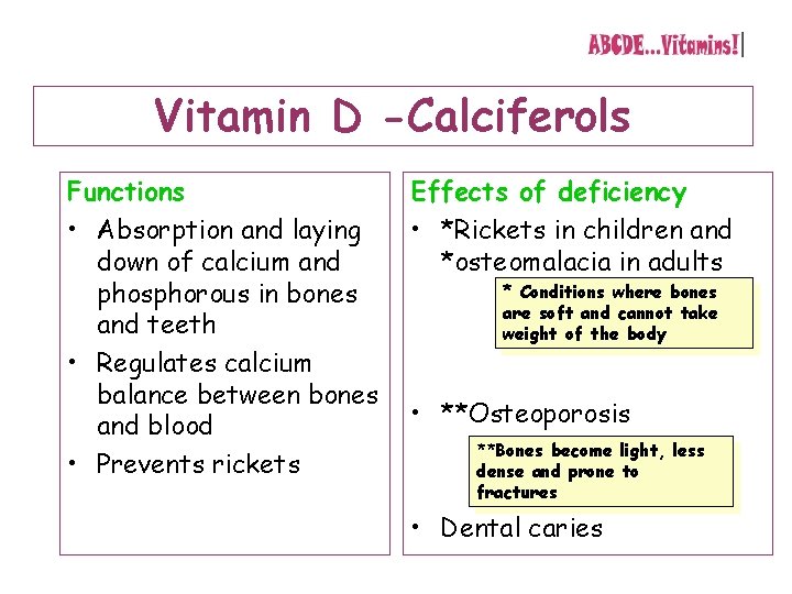 Vitamin D -Calciferols Functions • Absorption and laying down of calcium and phosphorous in Vitamin D -Calciferols Functions • Absorption and laying down of calcium and phosphorous in