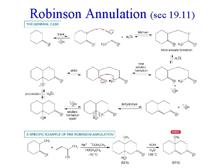 Robinson Annulation (sec 19. 11) 