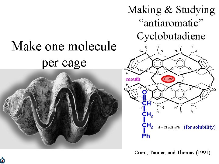 Make one molecule per cage Making & Studying “antiaromatic” Cyclobutadiene mouth O CH CH