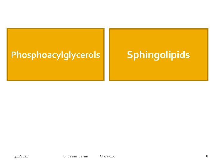 Phosphoacylglycerols 6/12/2021 Dr Seemal Jelani Chem-160 Sphingolipids 8 