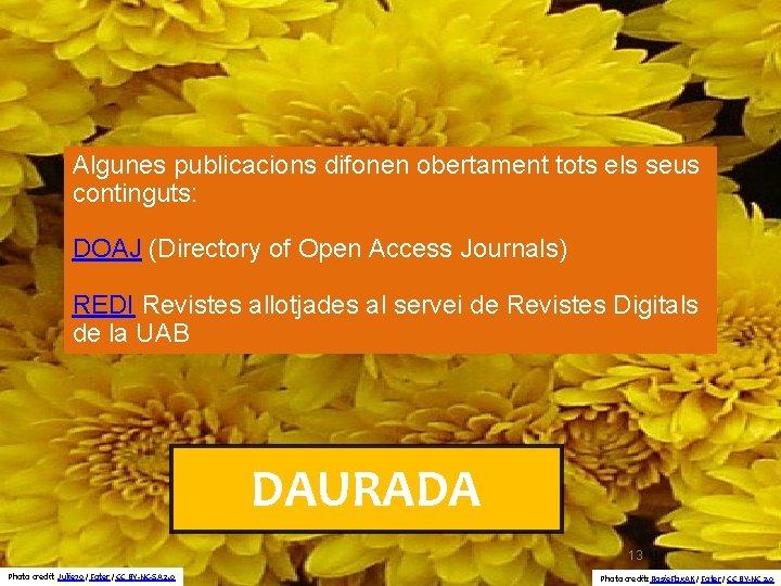 Algunes publicacions difonen obertament tots els seus continguts: DOAJ (Directory of Open Access Journals)