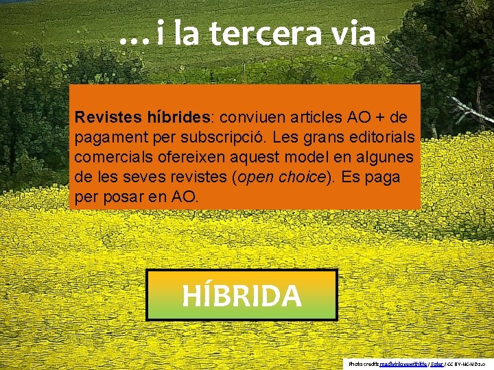 …i la tercera via Revistes híbrides: conviuen articles AO + de pagament per subscripció.