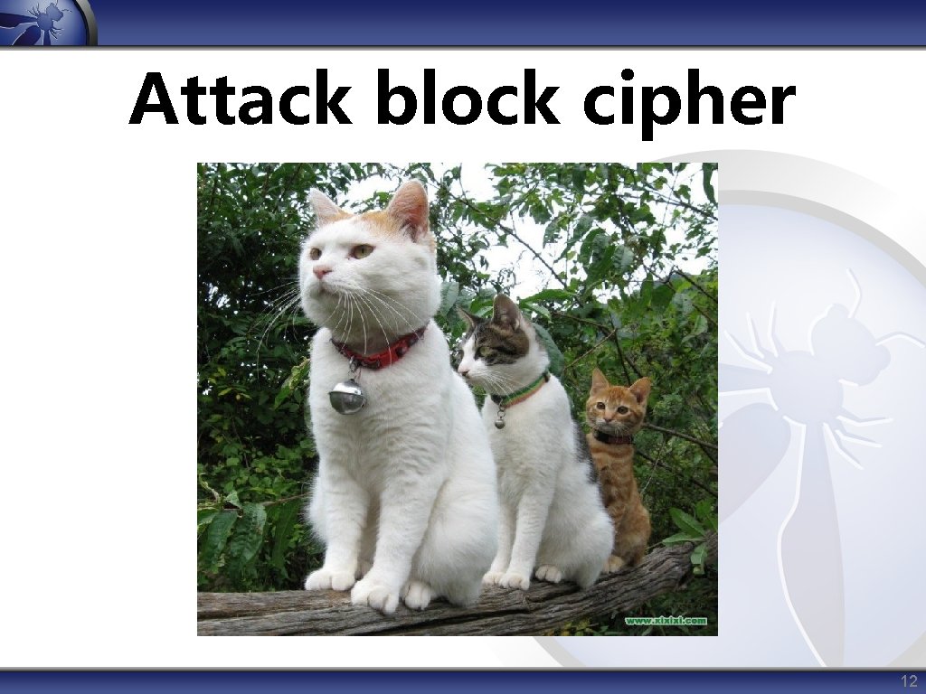 Attack block cipher 12 