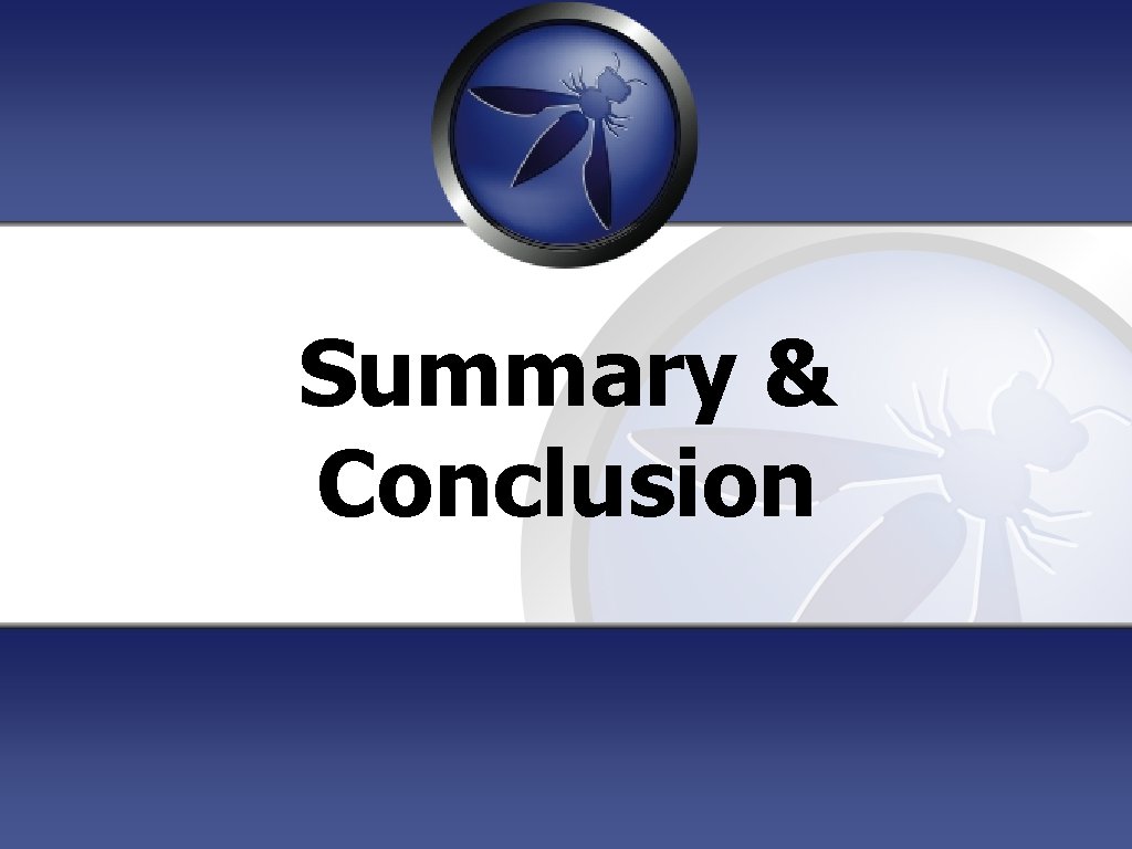 Summary & Conclusion 